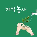 성공한 자식농사의 기준은? 이미지