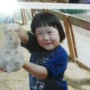 나현농장 이미지