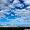 하늘뿌리한의원 이미지