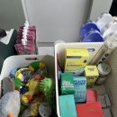 베네펫 | 강아지 유모차 카시트로 유명한 베네펫 후기