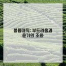 헤어공간 - 오산시 | 헤어공간