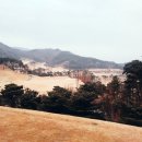 윈체스트컨트리클럽 서산 | 안성윈체스트 cc 라운딩 후기 !