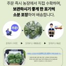 광채농장 네이버블로그