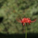 중앙공원(상) 이미지