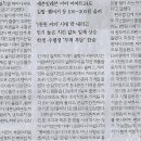줄줄이김밥 이미지