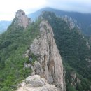 대구은행 황제지점 앞 이미지