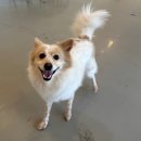 온누리 동물의료센터 이미지