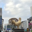 우미닭갈비본점 | 춘천 닭갈비 골목 "우미 닭갈비 본점" 후기