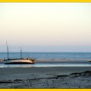 바오밥나무 이미지