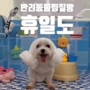 구로-구로-구로-1456 | 명지갈만한곳, 강아지동반 찜질방 휴일도부산점 추천해요