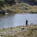 패밀리오토캠핑장 이미지