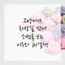 수성동물병원 이미지