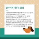 고현미용실