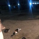 토함산락글램핑