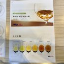 초록가설 | WSA 와인 테이스팅 과정 2회 후기 화이트 와인 테이스팅