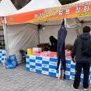 진도분식 | [진도] 제45회 진도 신비의 바닷길 축제 후기