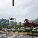 순천 호수공원 미용실 란샵I 유이 부실장님 후기