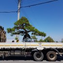 구암동387 이미지