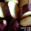 묵지농장 이미지