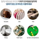 주니펫