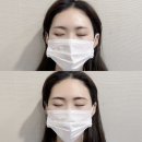 모두담채 이미지