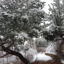 수원-0216 이미지