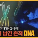 [그것이알고싶다] DNA로 범인의 성씨를 알아내는 방법 이미지