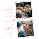 짱구와 동팔이 이미지