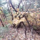 동해시-46 이미지