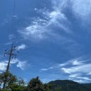 꽃다비 에스테틱 이미지