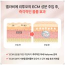 파이널유도짐 | 엘라비에 리투오 스킨부스터의 모든 것 : 효과, 가격, 부작용, 용량