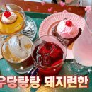 쿨노래연습장 이미지