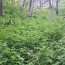 덕의농장 이미지