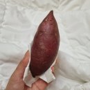 열린모텔 이미지