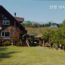 쉬자트리하우스 이미지