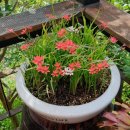 강빛마을 이미지