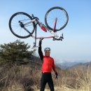 팔조령목장 | 대구/최정산 팔조령 가려다 최정산으로 ㄱㄱ