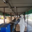 (주)이수약품 이미지