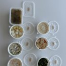 반찬 | 남양주 아기 반찬 냠냠 콕콕 아기 반찬 후기