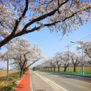 논산25시불가마사우나 이미지