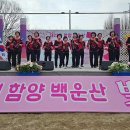 제 22회 함양백운산 벚꽃축제~합창무대 이미지