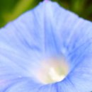 비호산근린공원2 이미지