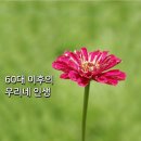 60대 이후의 우리네 인생 ❤ 이미지