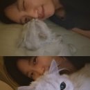 싱가폴가요 노래연습장 | [요즘 일상]중단발 레이어드컷, 추어탕 맛집, 싱가폴 기념품 선물..등