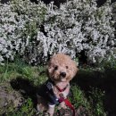 금호강변로 이미지