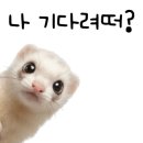 천북친환경식당 네이버블로그