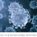 &#34;사망자 무섭게 늘어&#34;…어떤 항생제도 소용 없는 &#39;슈퍼 세균&#39; 급증 이미지