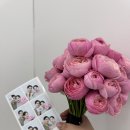 w4. 부산 소울브라우즈 웨딩 촬영 후기