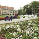 중앙대학교 이미지