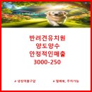 명작공인중개사사무소 이미지